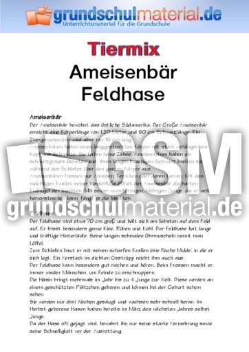 Ameisenbär - Feldhase.pdf